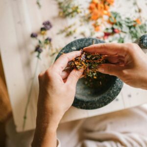 Workshop: Zykluszeit & Kräuterweisheit am 29.09.25 im Holistic-Health-Place