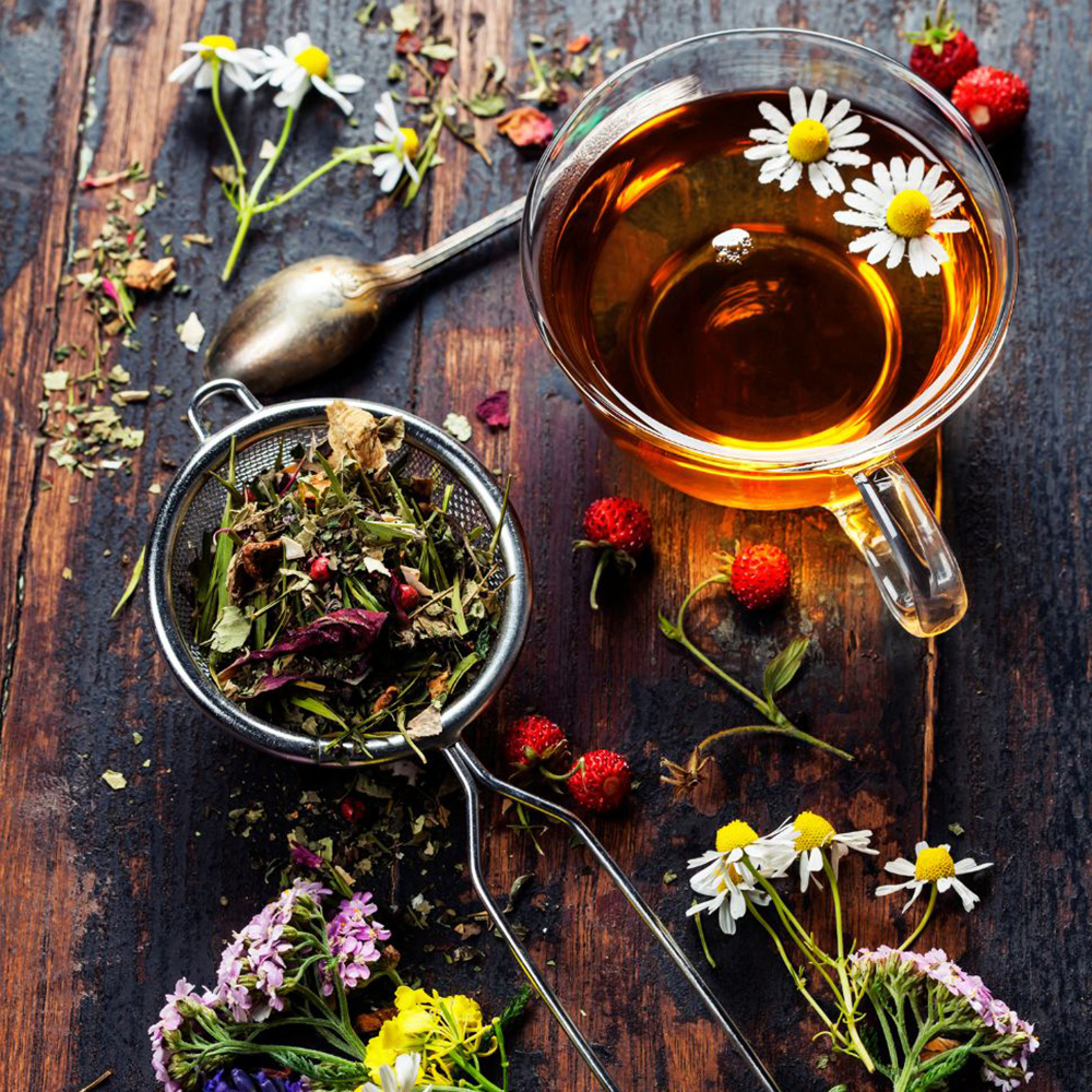 Mini-Retreat Wandlungszeit & Kräuterweisheit – Bild 2