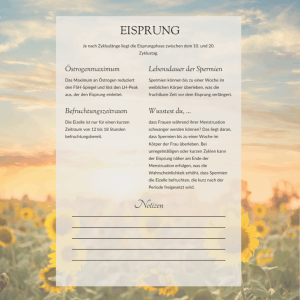 Workbook: Kinderwunsch – Dein ganzheitlicher Kompass – Bild 4