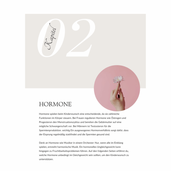 Workbook: Kinderwunsch – Dein ganzheitlicher Kompass – Bild 5