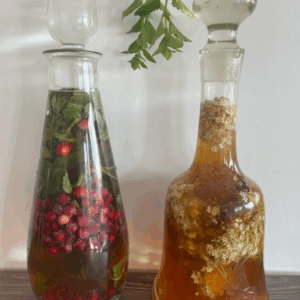 Fermentations-Workshop mit Sophia & Jennifer am 15.11.2025