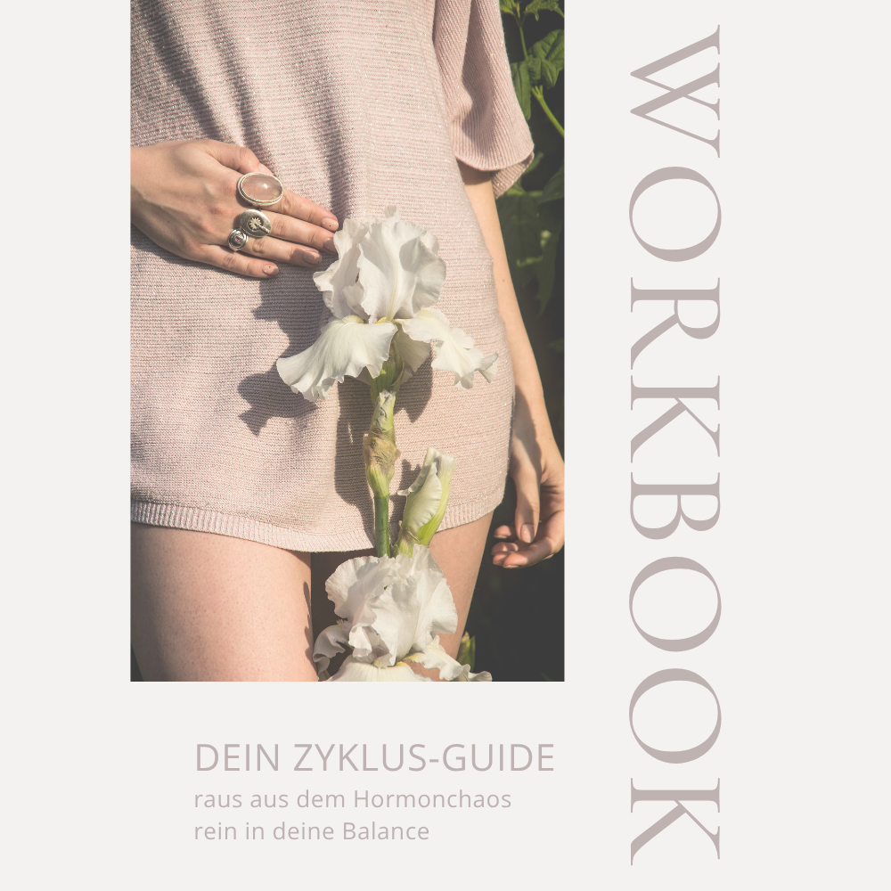 Zyklusguide – Dein Workbook für Klarheit, Ernährung & hormonelle Balance