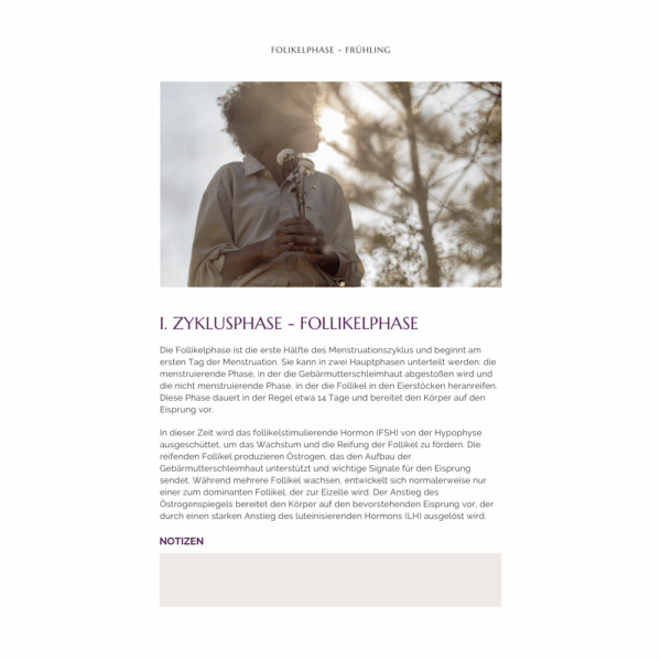 Dein Zyklus-Guide: Raus aus dem Hormonchaos – rein in deine Balance – Bild 5