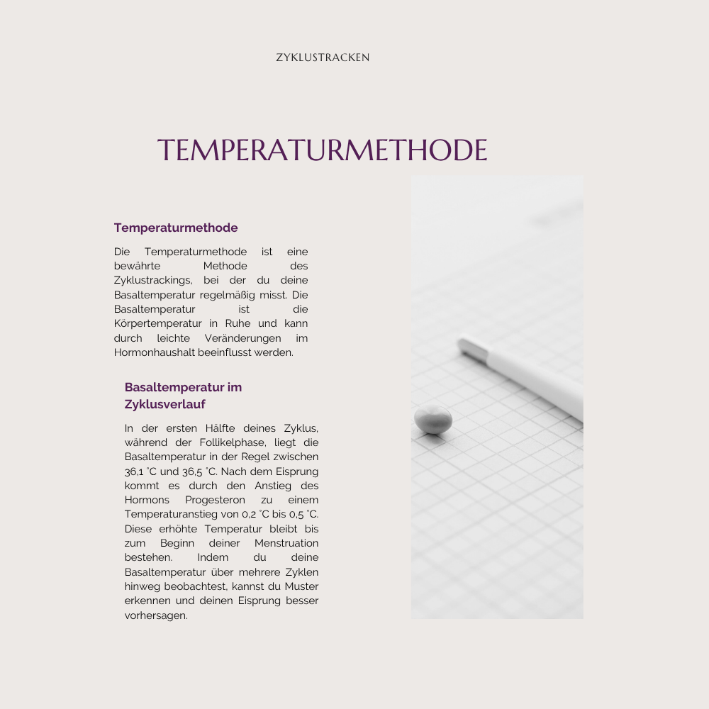 Zyklusguide – Dein Workbook für Klarheit, Ernährung & hormonelle Balance – Bild 8
