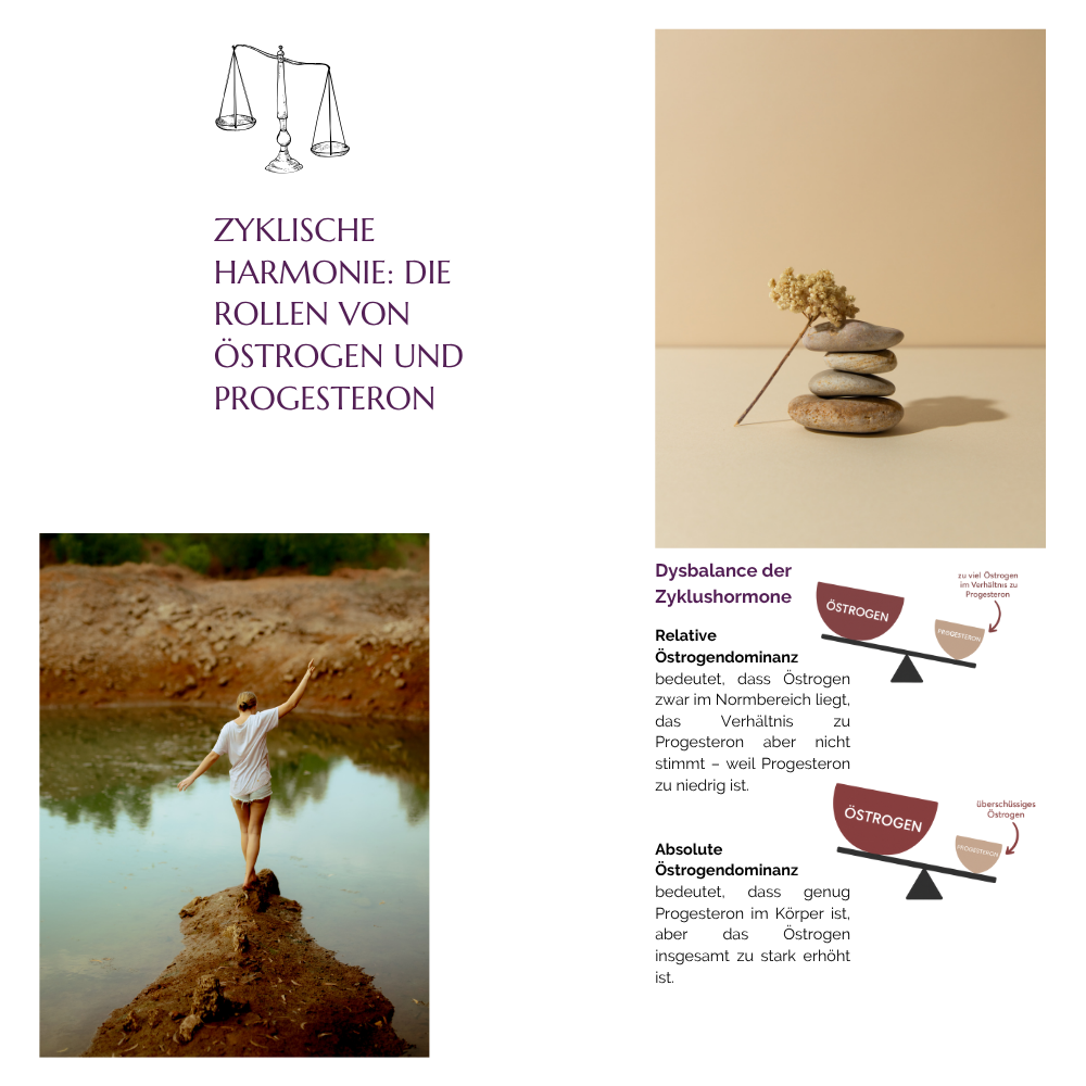 Zyklusguide – Dein Workbook für Klarheit, Ernährung & hormonelle Balance – Bild 9