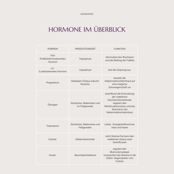 Dein Zyklus-Guide: Raus aus dem Hormonchaos – rein in deine Balance – Bild 6