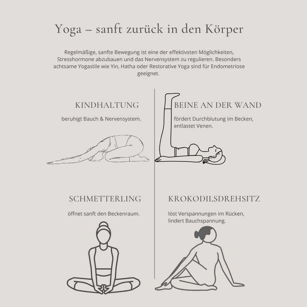 Endo Care Workbook – Dein ganzheitlicher Begleiter bei Endometriose – Bild 8