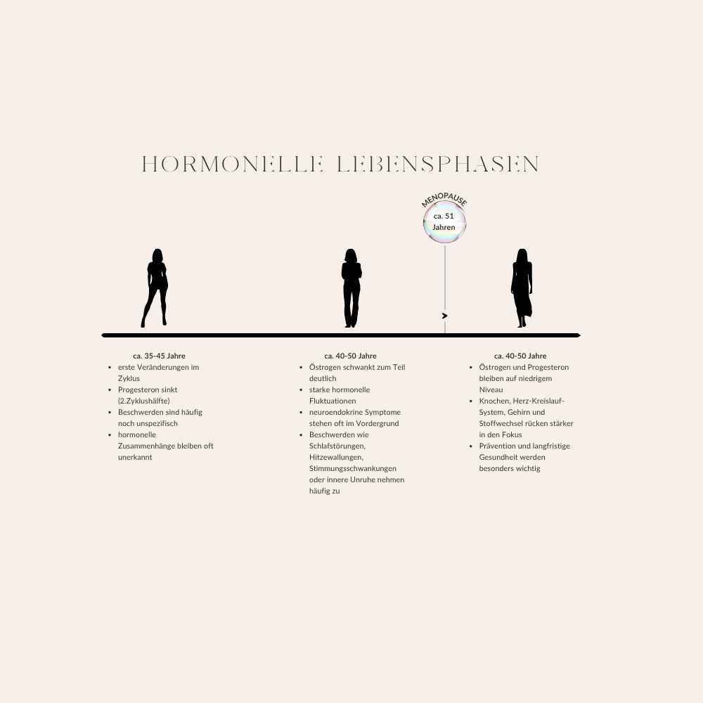 Wechseljahre Workbook Wandelzeit & Kräuterweisheit