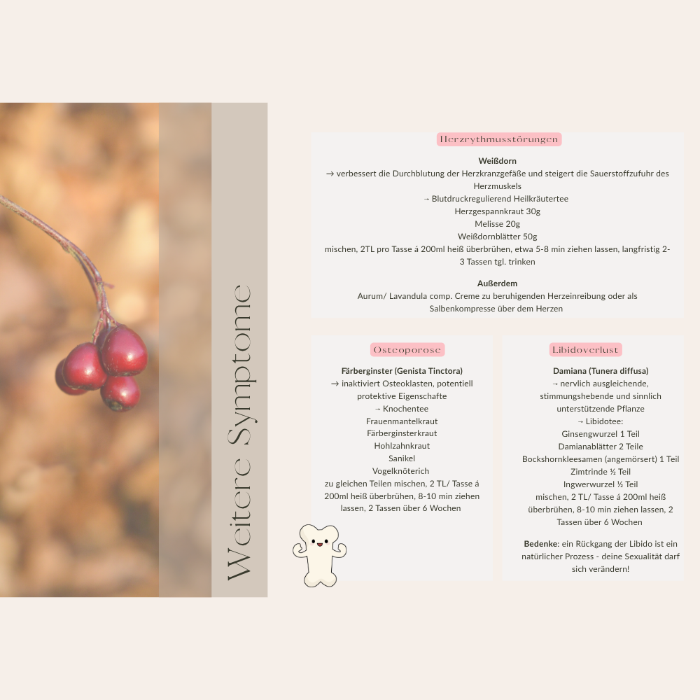 Wechseljahre Workbook Wandelzeit & Kräuterweisheit