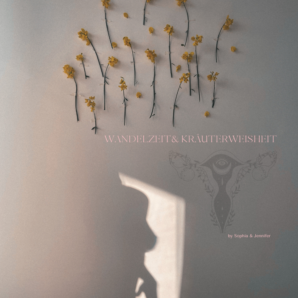 Wechseljahre Workbook Wandelzeit & Kräuterweisheit